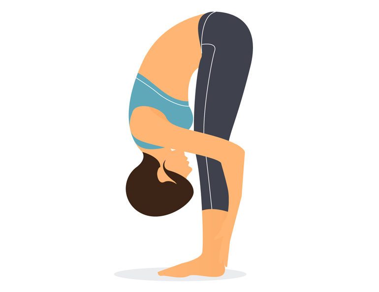 Illustration of Uttanasana (Forward Fold) yoga pose