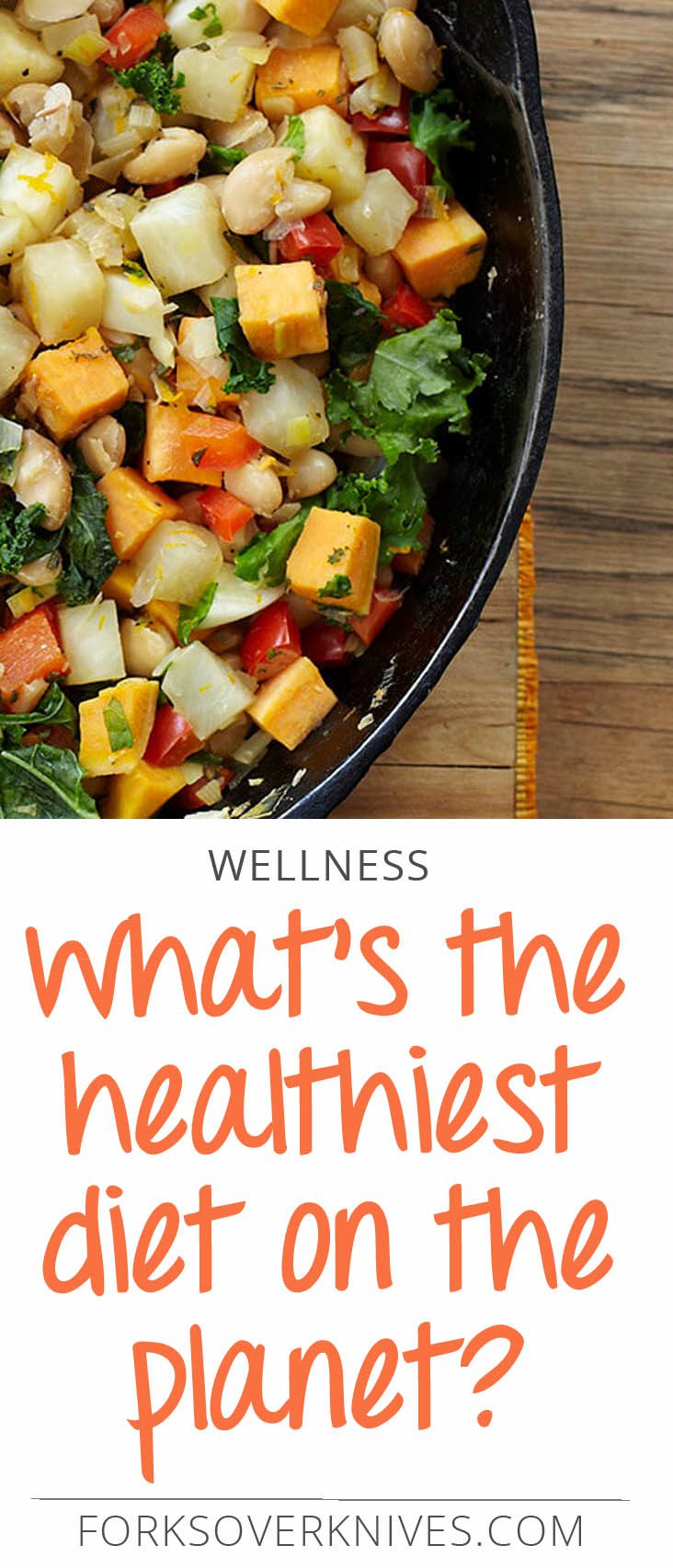 What Is The Healthiest Diet On The Planet 