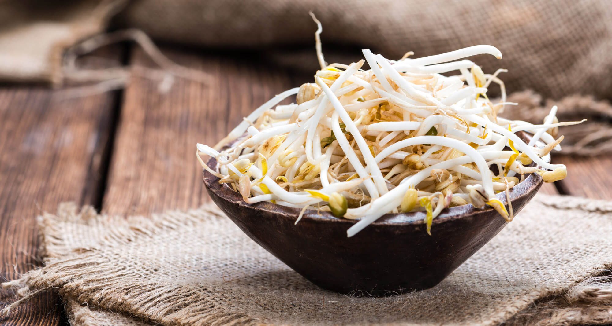 bean sprout
