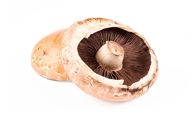 波特貝羅蘑菇 - 蘑菇理事會網站