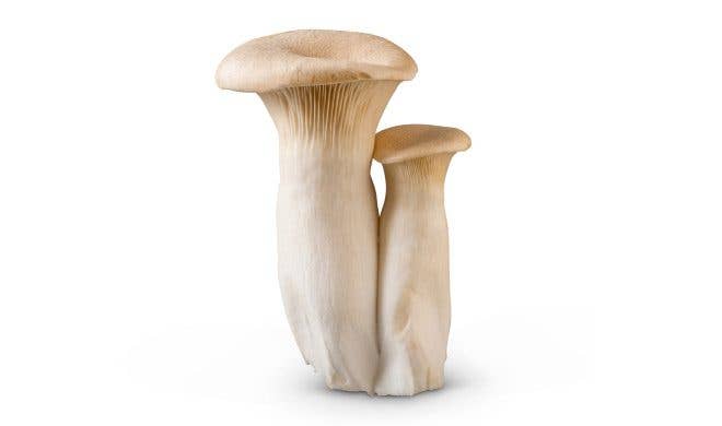Royal Trumpet Mushrooms - Credit MushroomCouncil.com