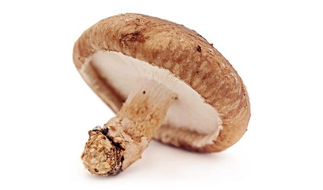 Shiitake Mushrooms - Credit MushroomCouncil.com
