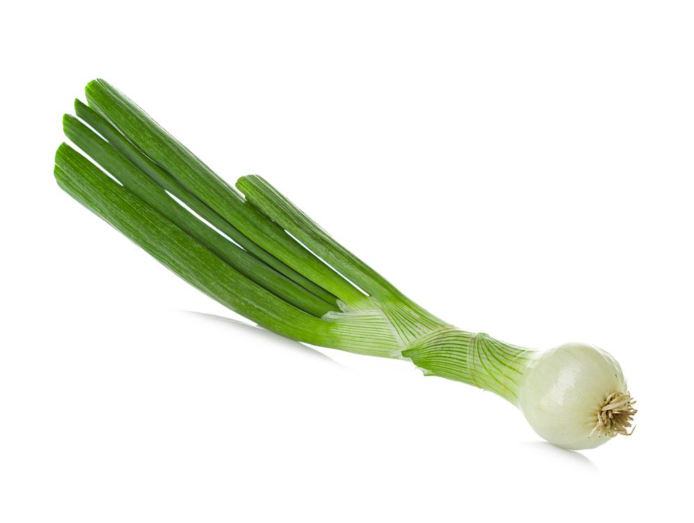 spring onion on white background