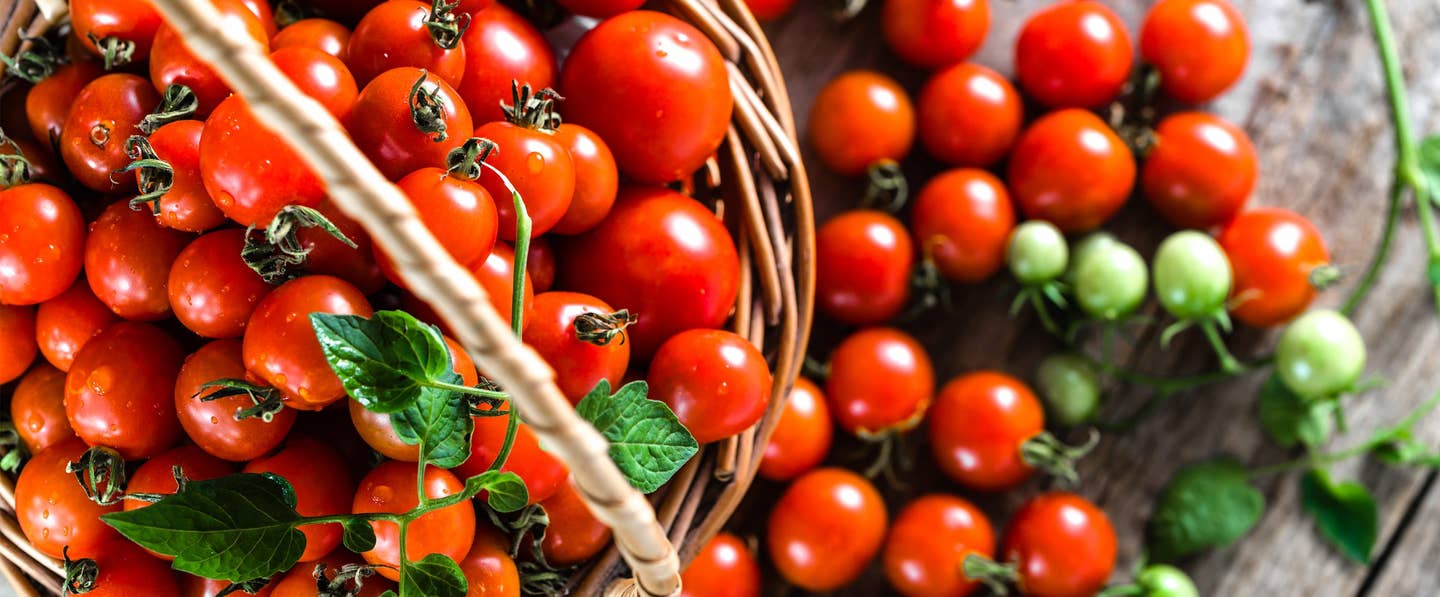 Plant-Based Tomato Recipes