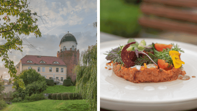 ahead burghotel exterior shot and photo of vegan pate with fresh herbs