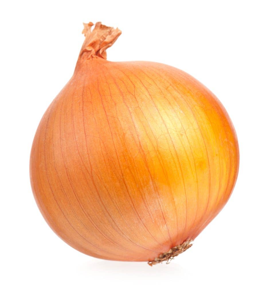 One yellow onion isolated on white background cutout