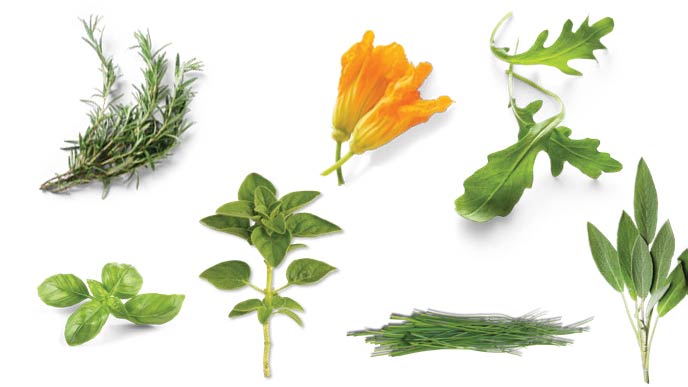 collage of herbs that have edible flowers, such as basil, chive, and arugula 