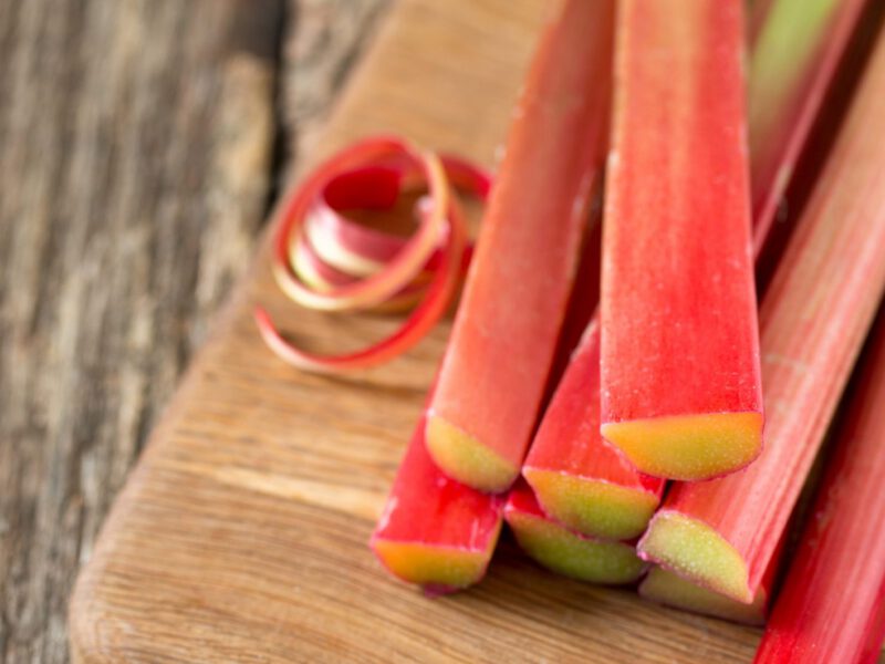 rhubarb