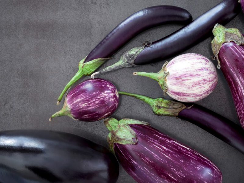eggplant photos