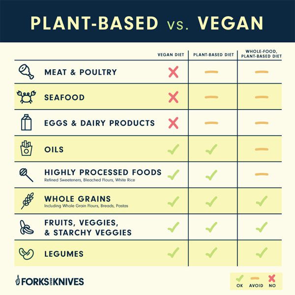 Beginner's Guide a Plant-Based Diet Forks Knives