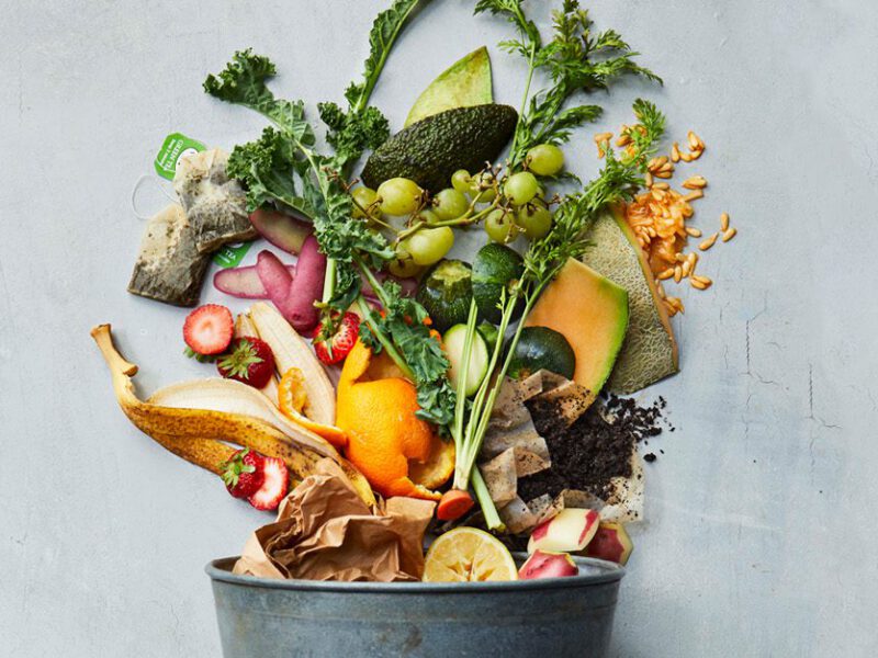 composting pail -- a metal bucket with fruit and vegetable scraps pouring artfully out, on a grayish white background