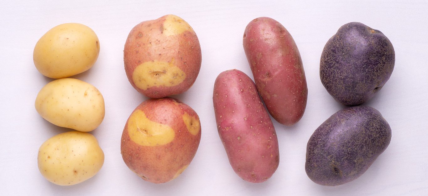New, fingerling and purple potatoes shown side by side on a light background
