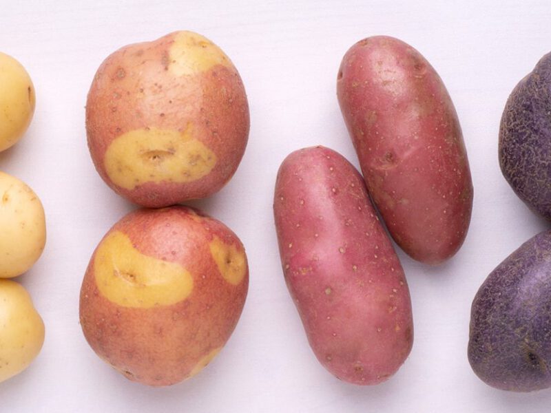 New, fingerling and purple potatoes shown side by side on a light background