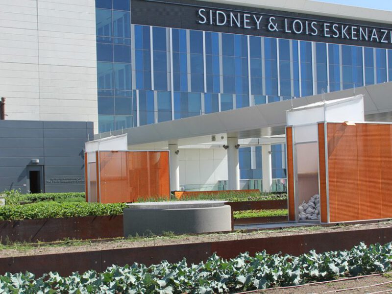 Sky Farm Hospital at Eskenazi