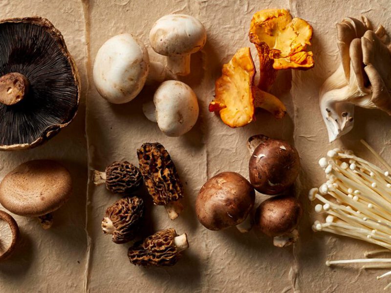 mushroom varieties - eight different mushroom varieties laid on a table