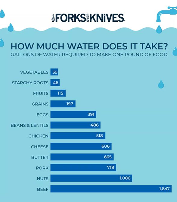 Infographic showing the water usage of various foods, with beef being the highest water-using