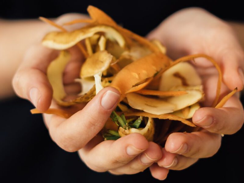 Cupped hands holding vegetable scraps