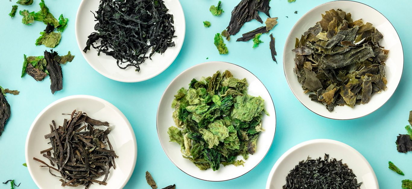 Different types of edible seaweed shown on small white plates