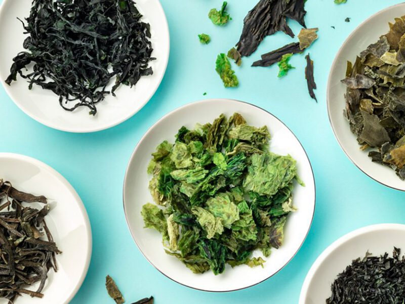 Different types of edible seaweed shown on small white plates