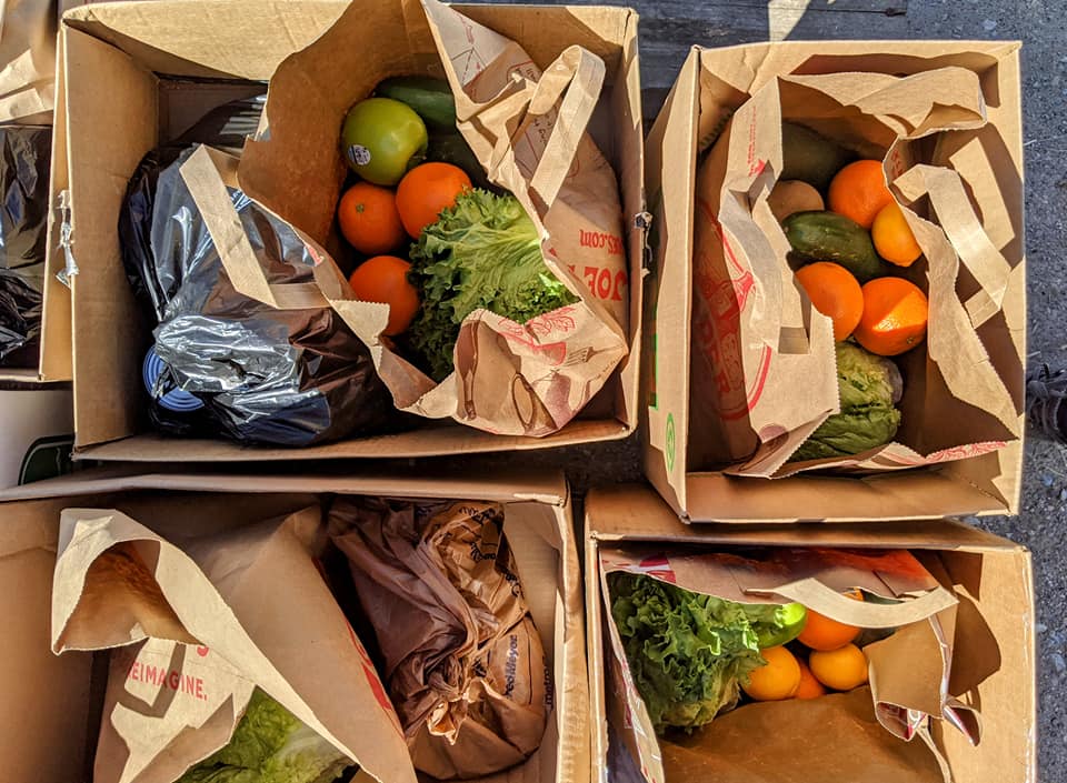 bags of groceries from a vegan food bank