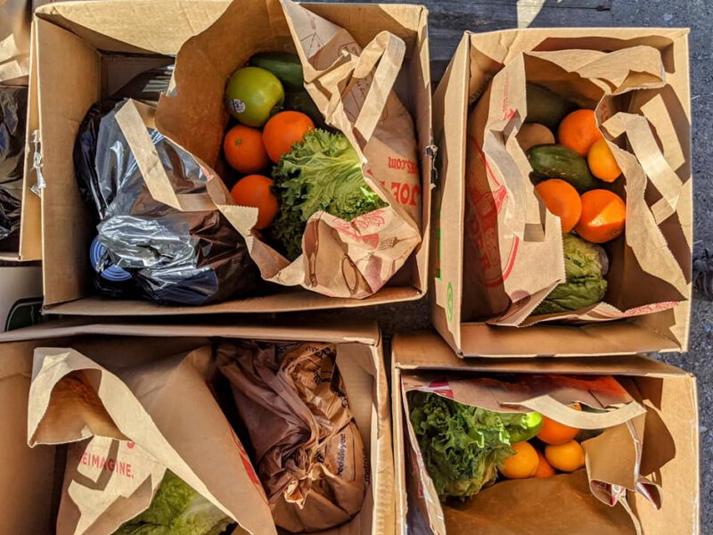 bags of groceries from a vegan food bank