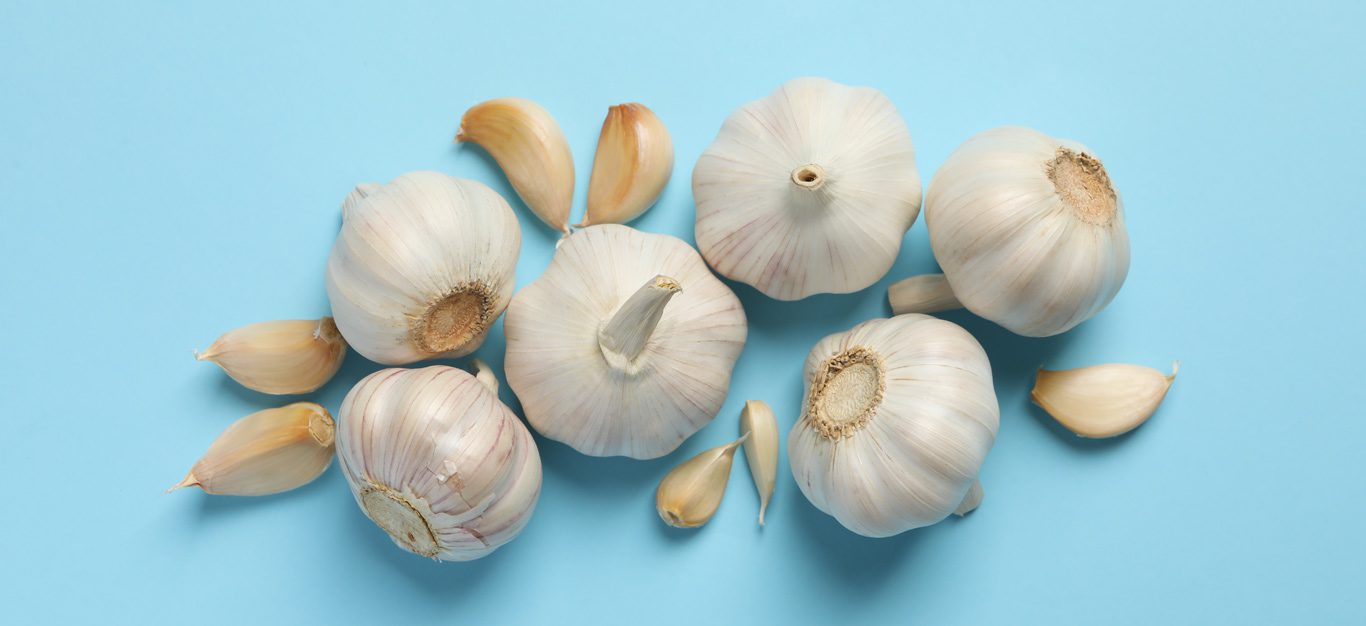Six heads of garlic on a blue background with cloves beside them