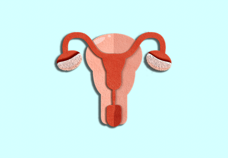 A paper cut out art piece representing a uterus with ovaries