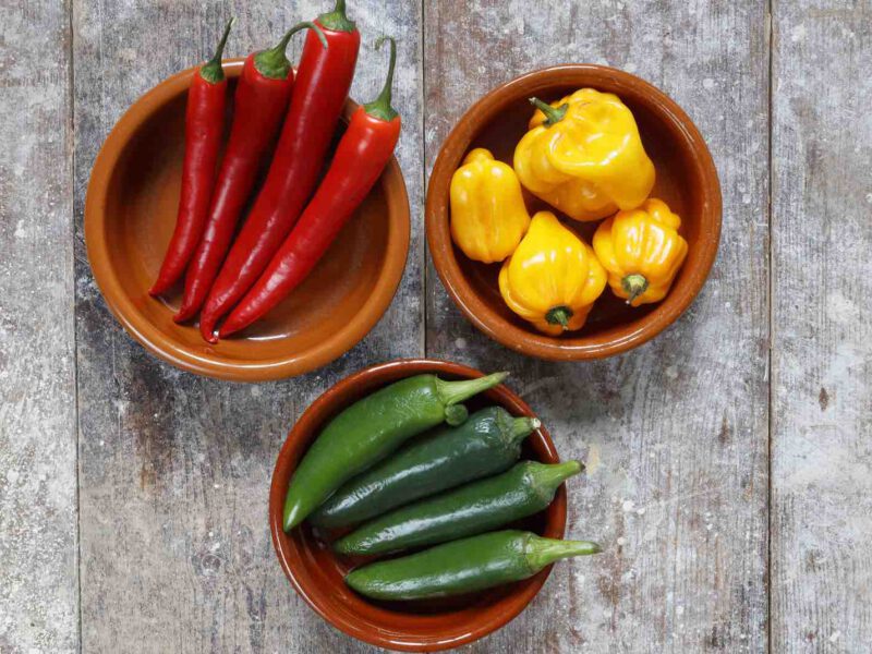 Three bowls, each containing a different type of fresh chile pepper, including thai bird, jalapeno, and scotch bonnet chiles, on a light gray wooden floor