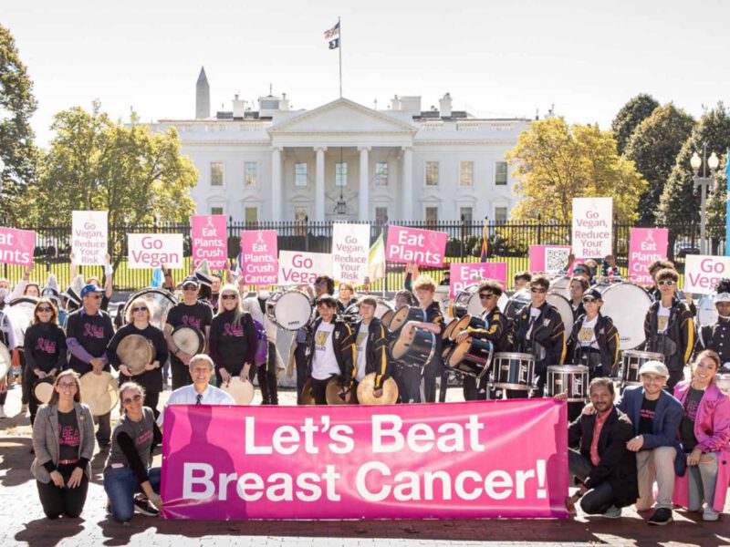 A large group of doctors and survivors, many wearing pink, standing in front of the White House fence with drums and holding a large banner that says Let's Beat Breast Cancer