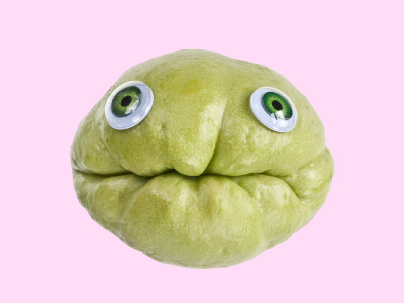 Funny pic of a chayote squash with googly eyes glued to it, angled so that the groove of the chayote looks like a mouth, on a solid pink background