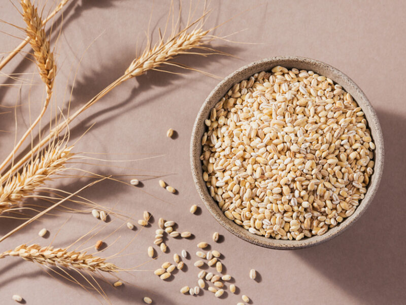 stalks of barley plant laid beside a bowl of barley kernels, with some kernels scattered beside the bowl, on a light lilac background