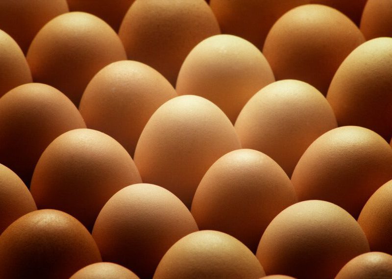 A close-up of large brown eggs standing on their ends