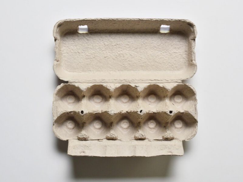Empty egg carton