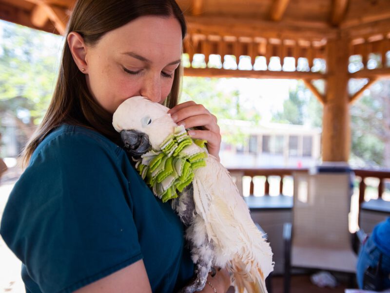 A woman snuggles with a rescued bird at Best Friends Animal Sanctuary