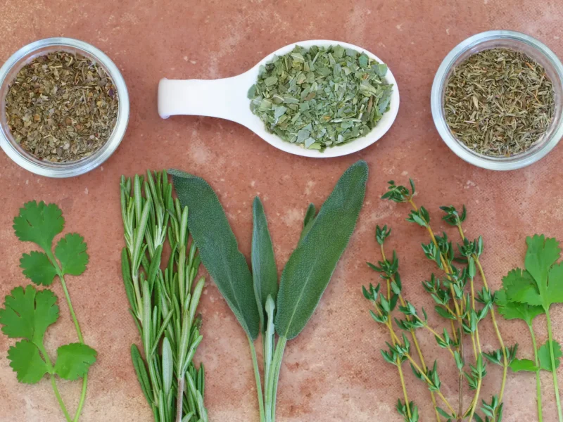 Assortment of fresh and dried herbs on a terracotta surface