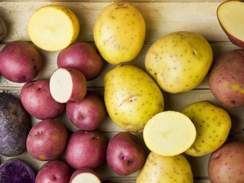 different varieties of potatoes