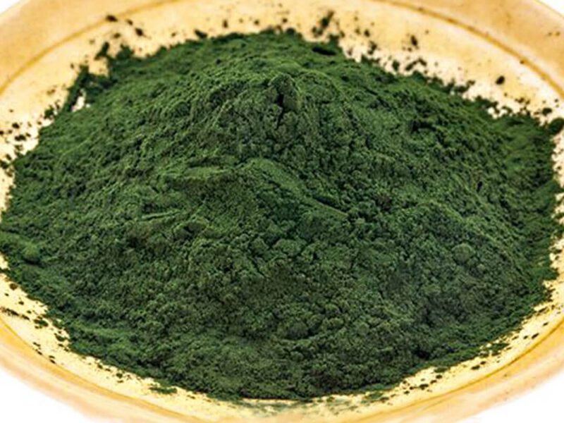 A yellow plate of spirulina powder against a white background