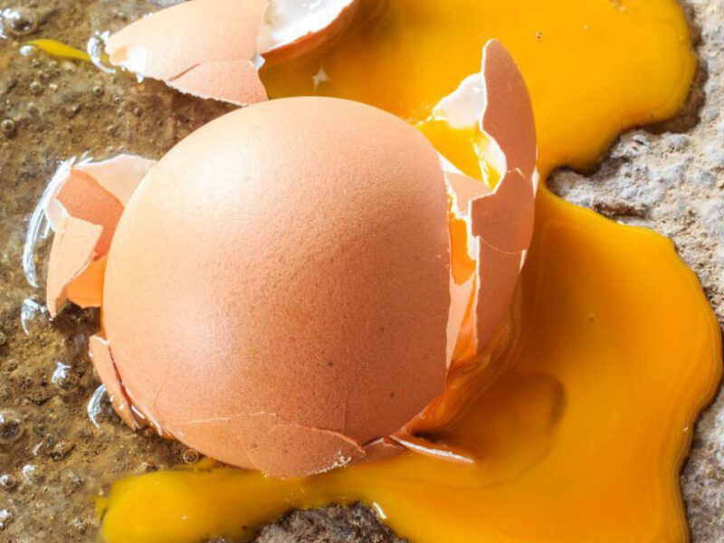 cholesterol myths