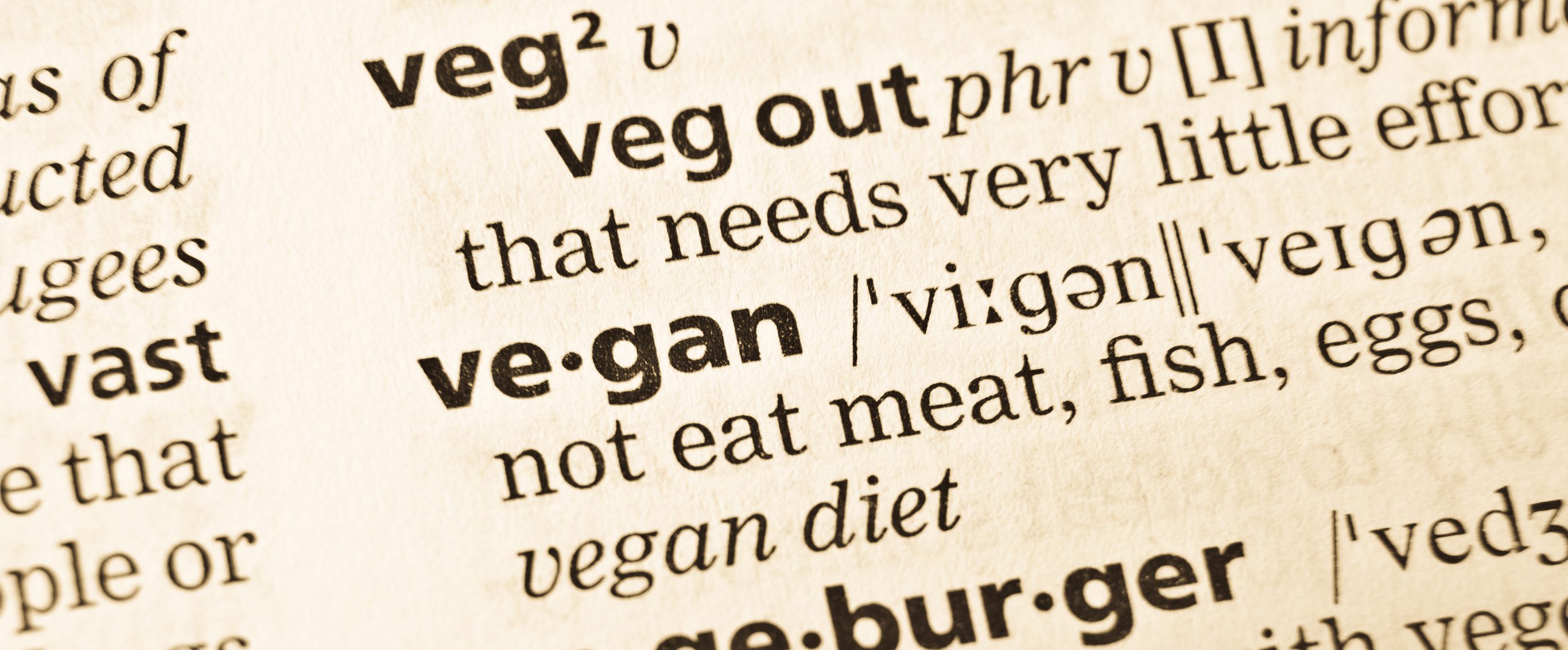 Difference Between Vegan And Vegetarian Chart