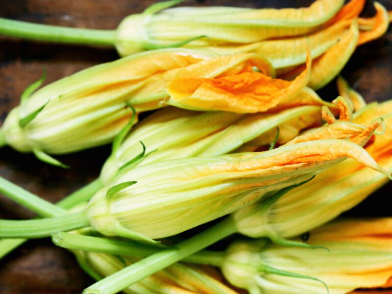squash blossoms