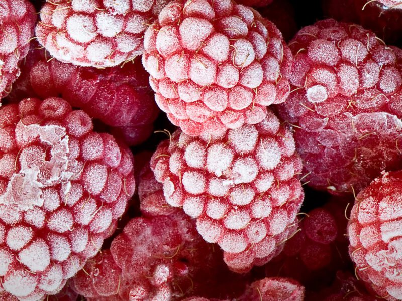 frozen raspberries, a guide to freezing fruit