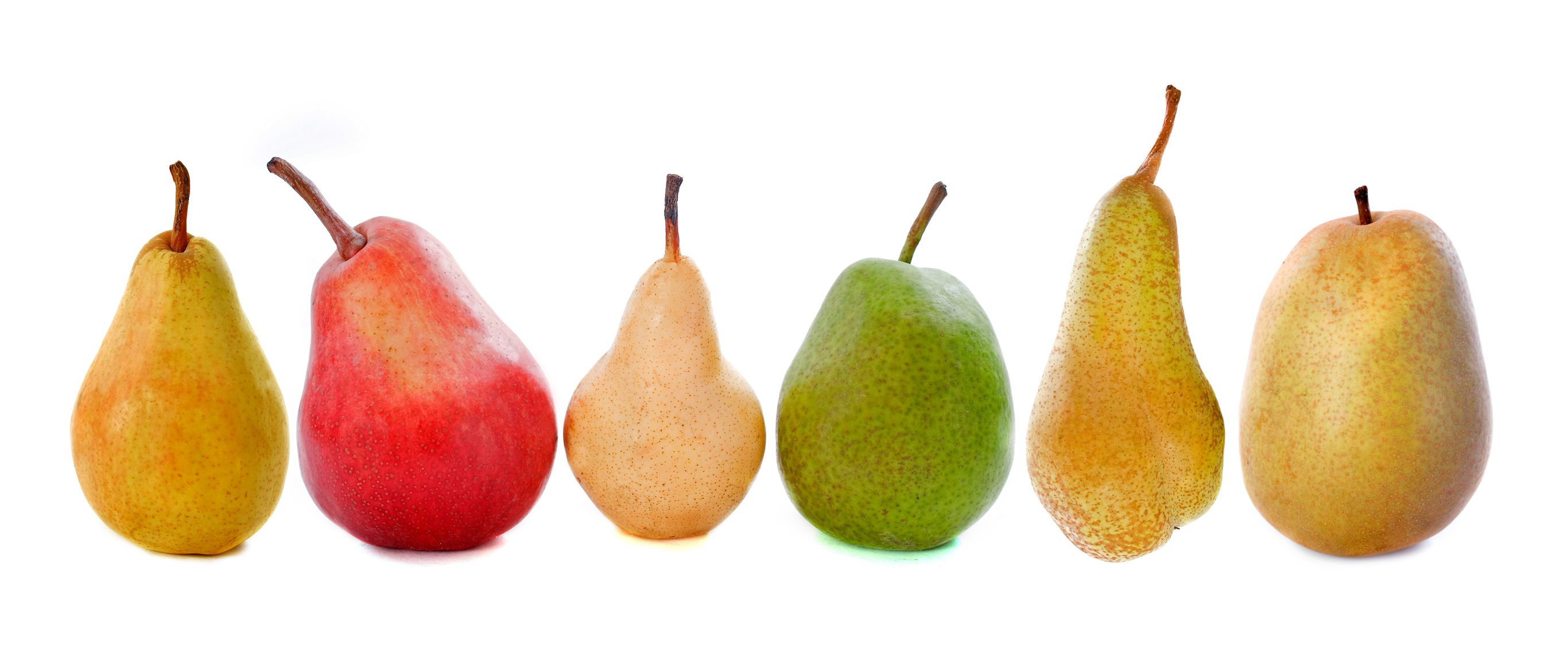 kinds of pears