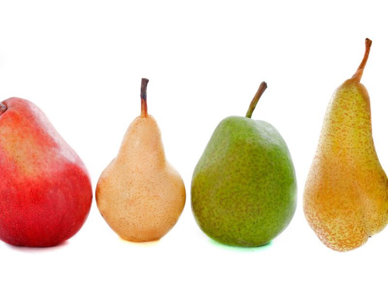 kinds of pears