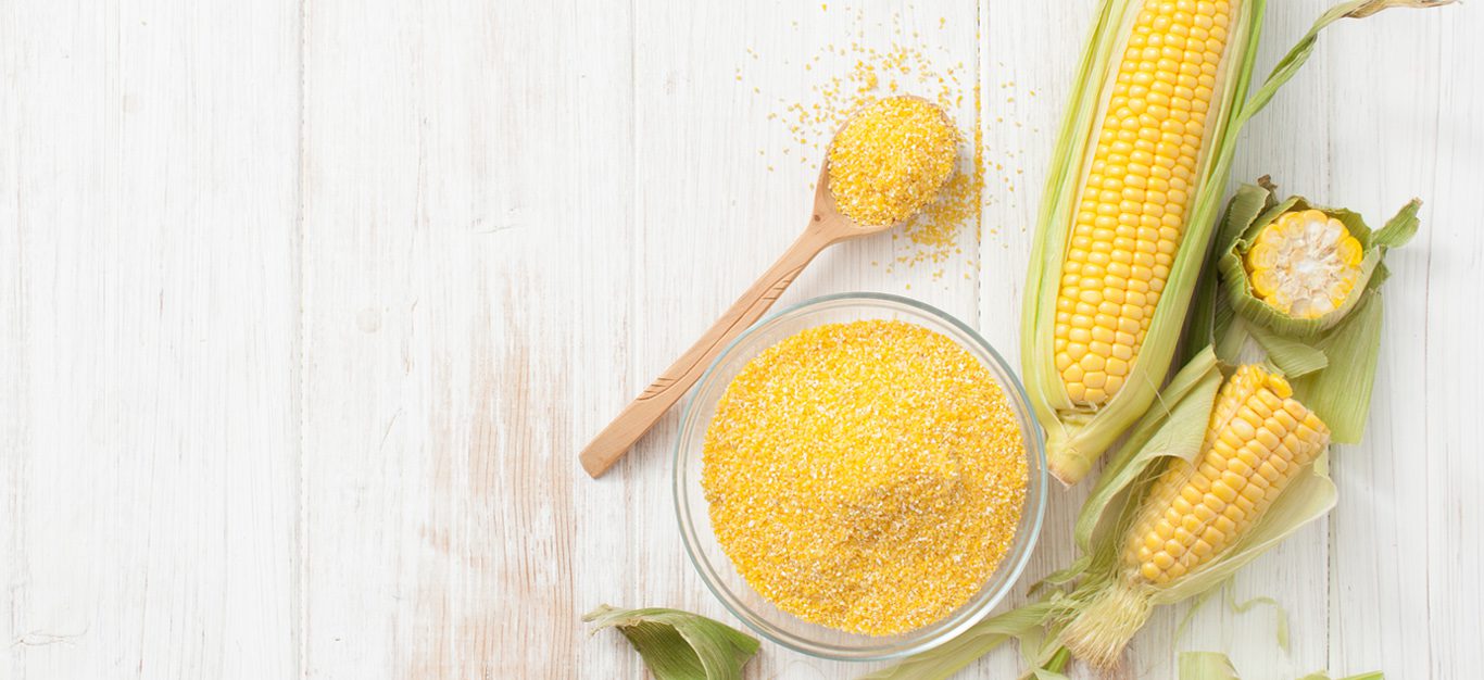 polenta cornmeal and corn on the cob shown on a white table