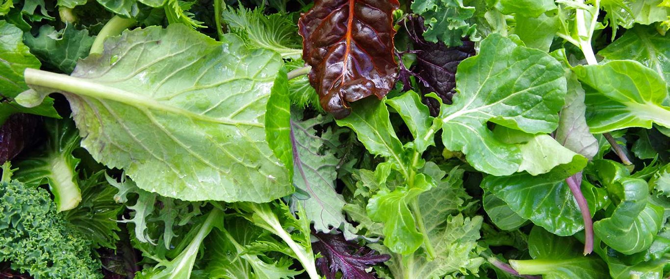 Leafy vegetables for the Forks Over Knives plant-based diet