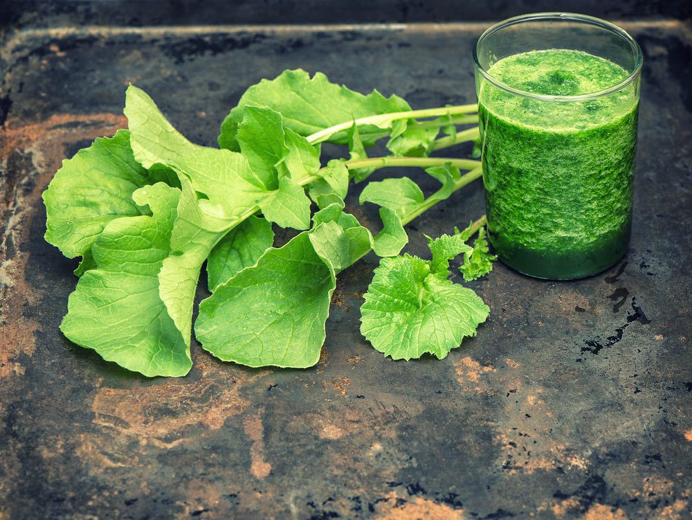 intact radish leaves/greens next to a cup of blended radish leaves/greens