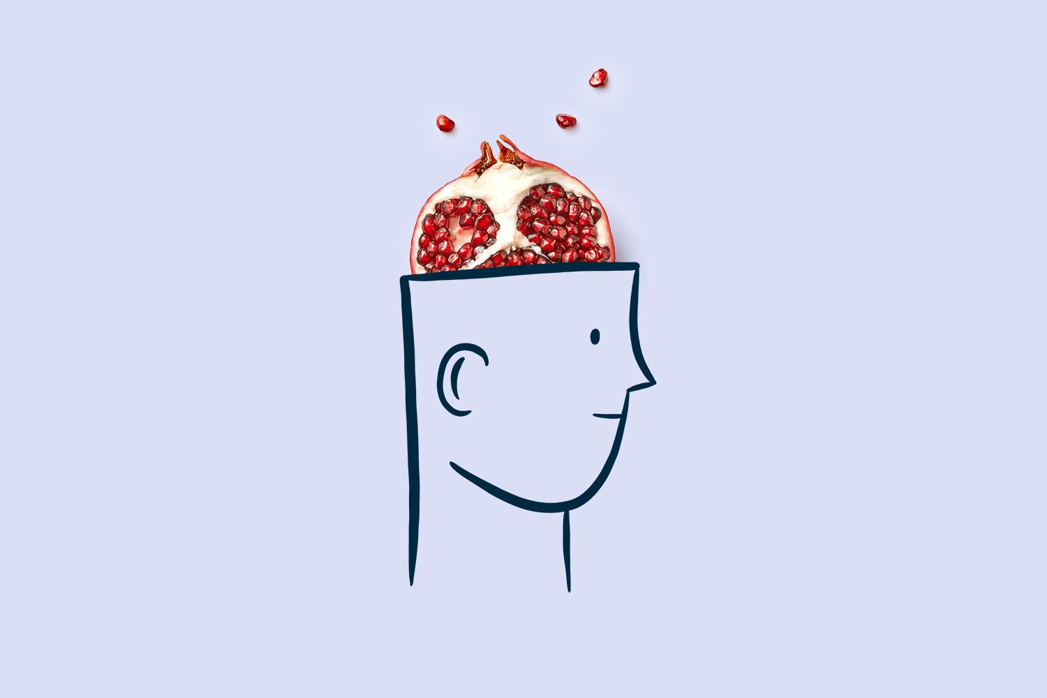 An illustration of a human face, with a pomegranate peeking out of the top of the skull where a brain would be