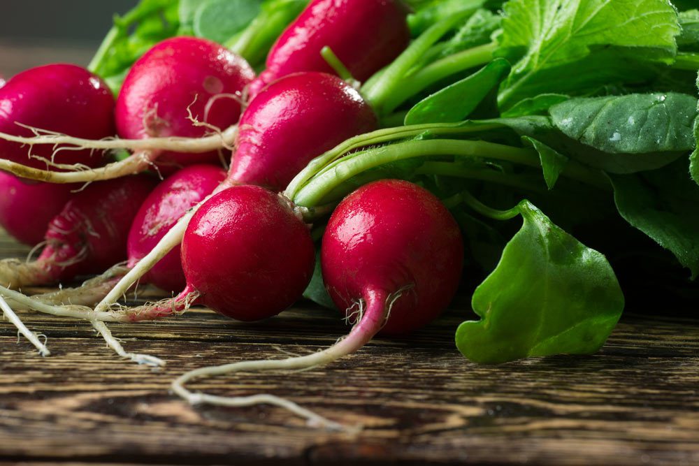 Close up of table radishes