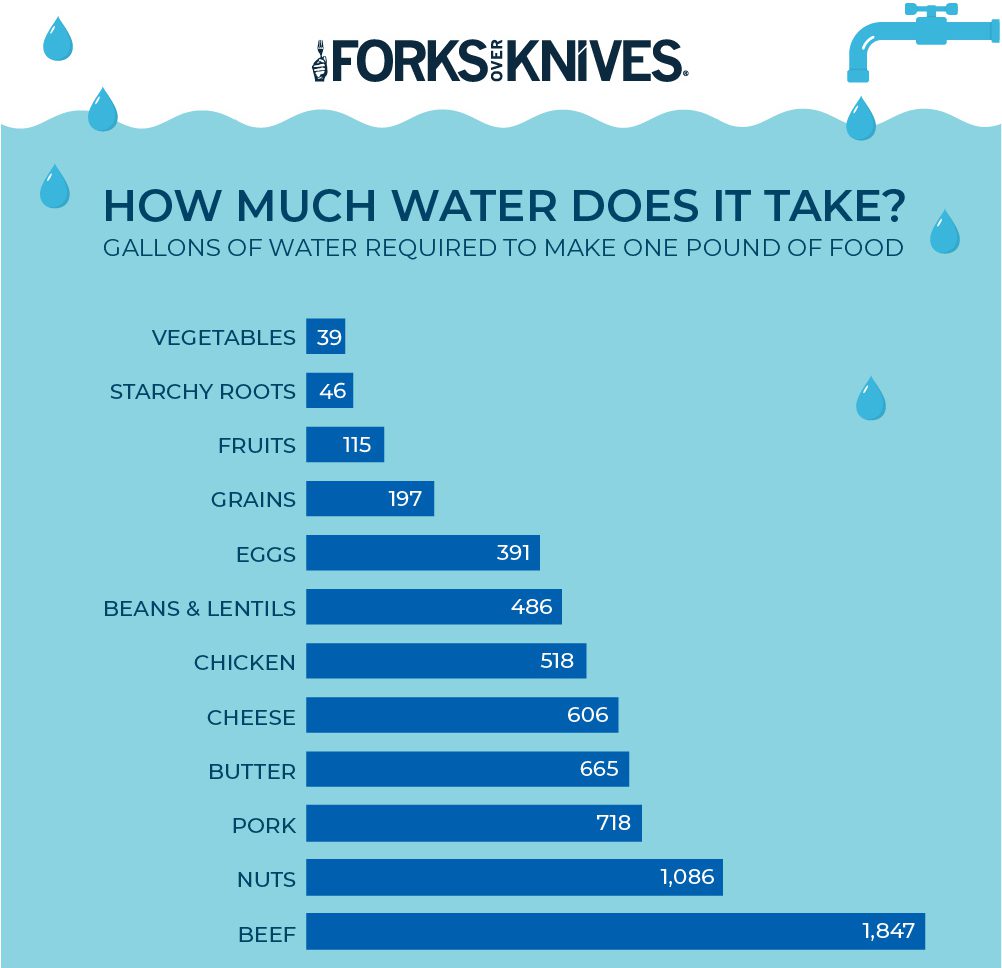 water use for meat and veggies - environmental sustainability